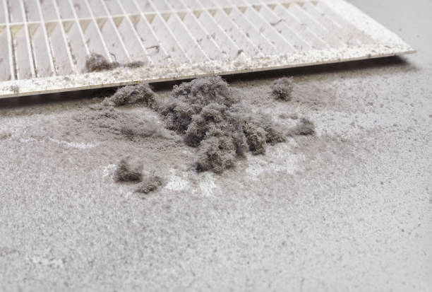 Best HVAC Duct Inspection Services  in Bessemer, MI