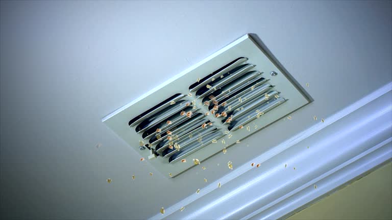 Best Air Duct Cleaning Near Me  in Bessemer, MI